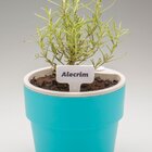 Vaso Autoirrigável - Pequeno - Linha Plantar  Vs180 <ou> Bege